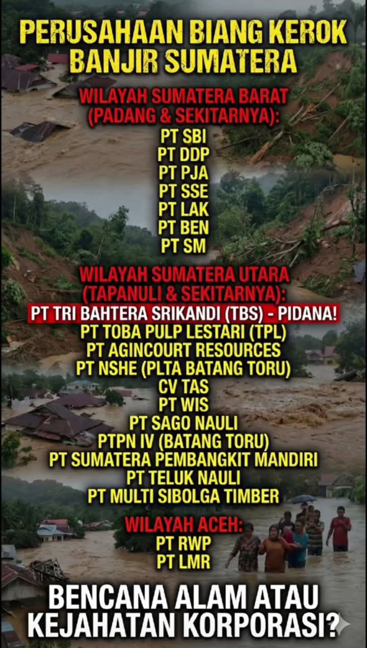 Kediktatoran Kapitalis